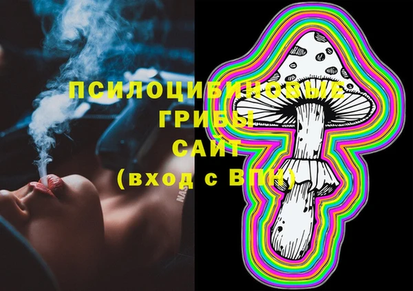 тгк Няндома