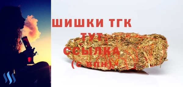тгк Няндома
