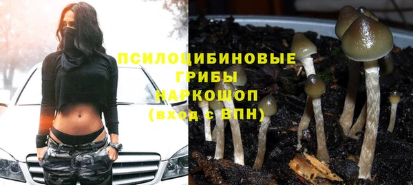 кокаин Новодвинск