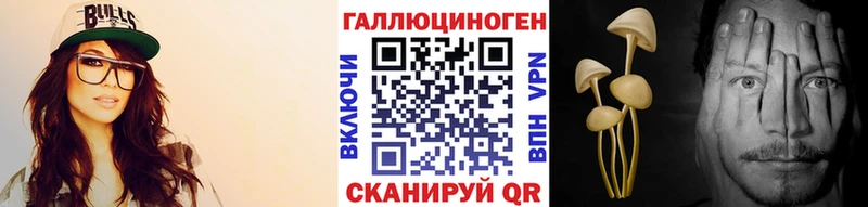 Псилоцибиновые грибы Psilocybine cubensis  Ессентуки 