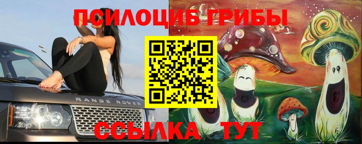 Галлюциногенные грибы прущие грибы  Вход с VPN  Ессентуки 