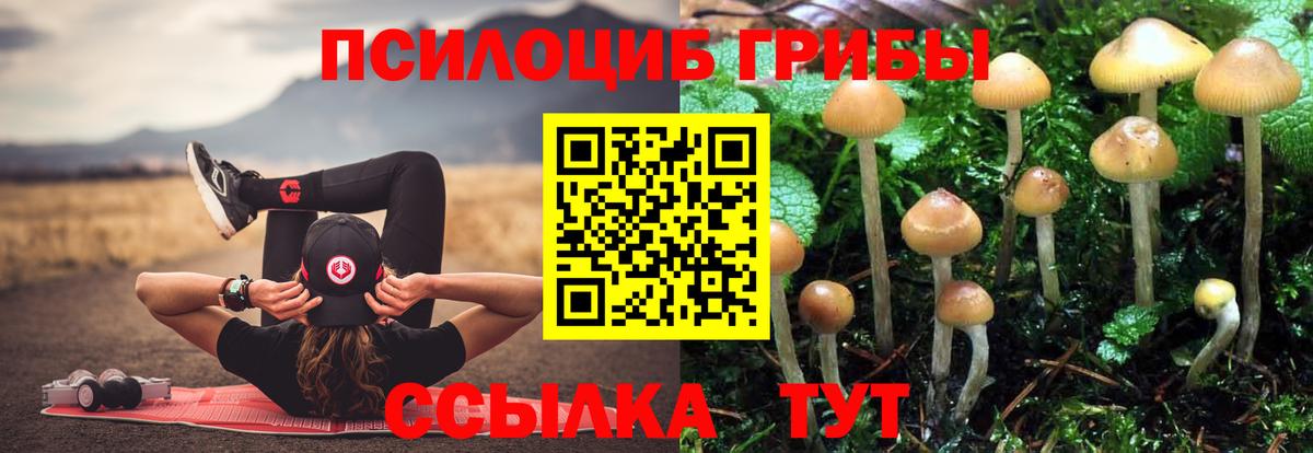 Псилоцибиновые грибы MAGIC MUSHROOMS Ессентуки