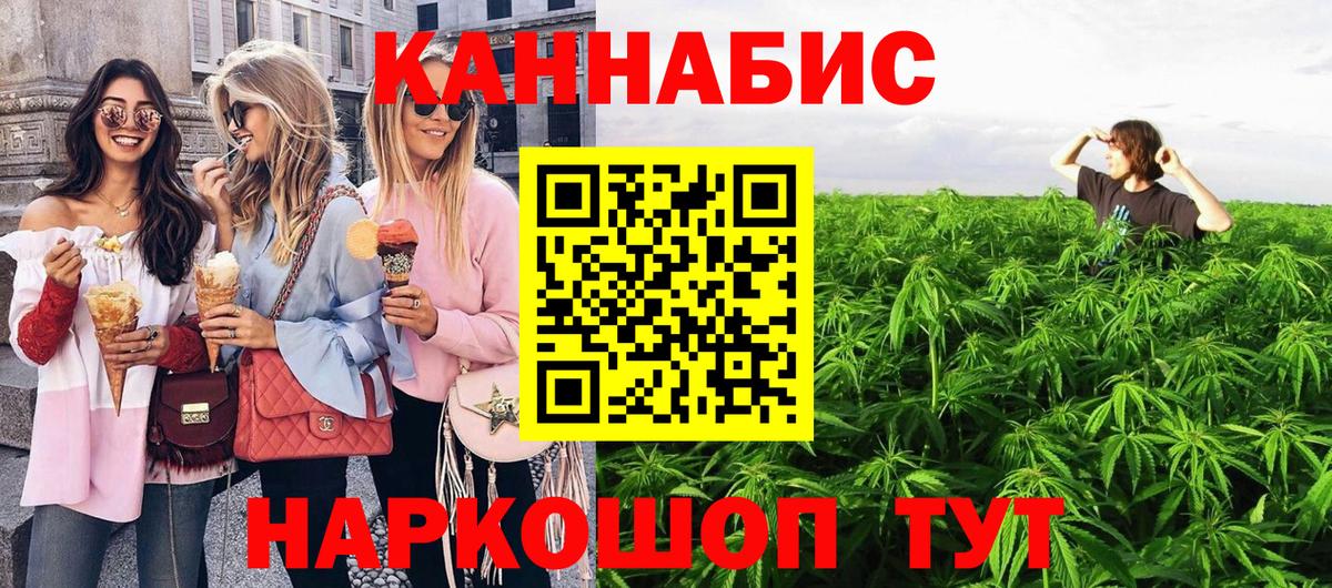 Марихуана сатива Ессентуки